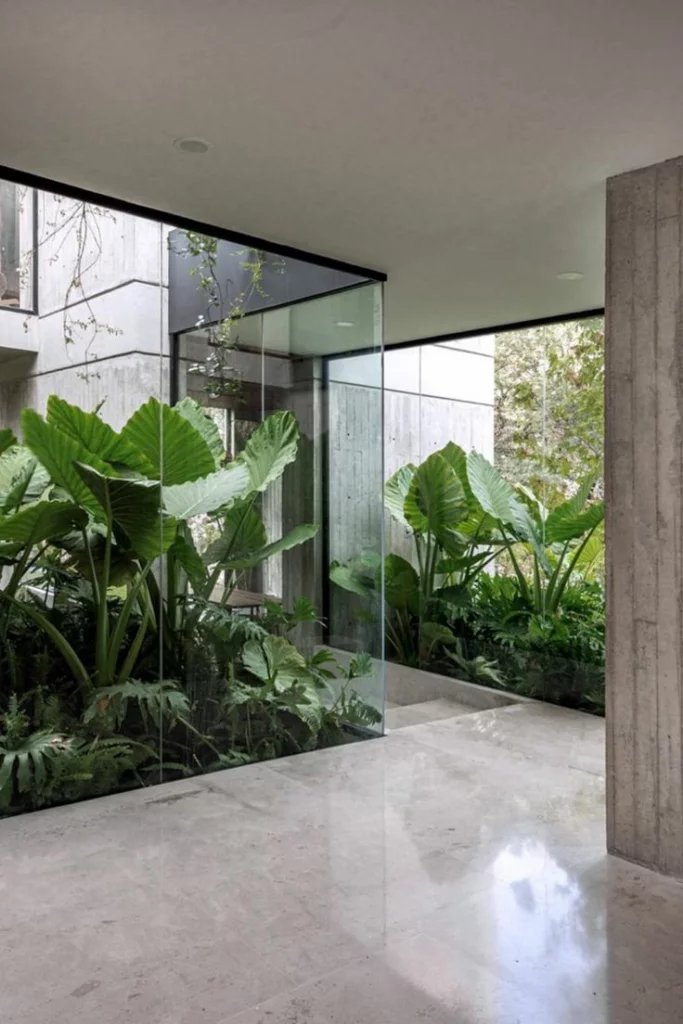 biophilic design, glass hallway, biophilic interiors